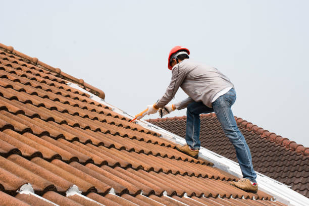 Best Steel Roofing  in Weston, FL