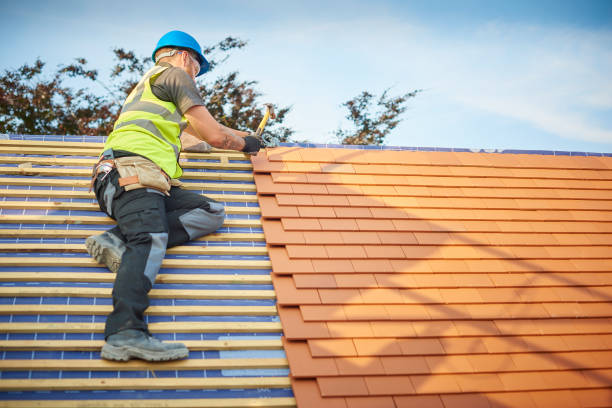 Best Solar Panel Roofing Installation  in Weston, FL